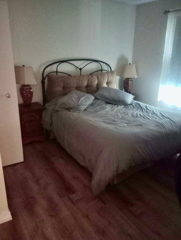 Cozy Ski in out Cabin in Berkshire Resort - Image 8