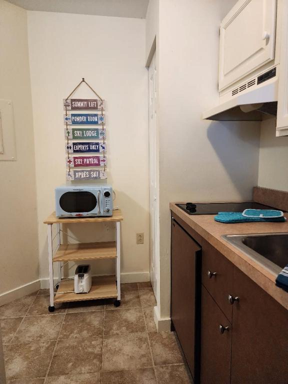 Mountain View Suite Sleeps 4 Ski OnOff Jiminy Peak - Image 5