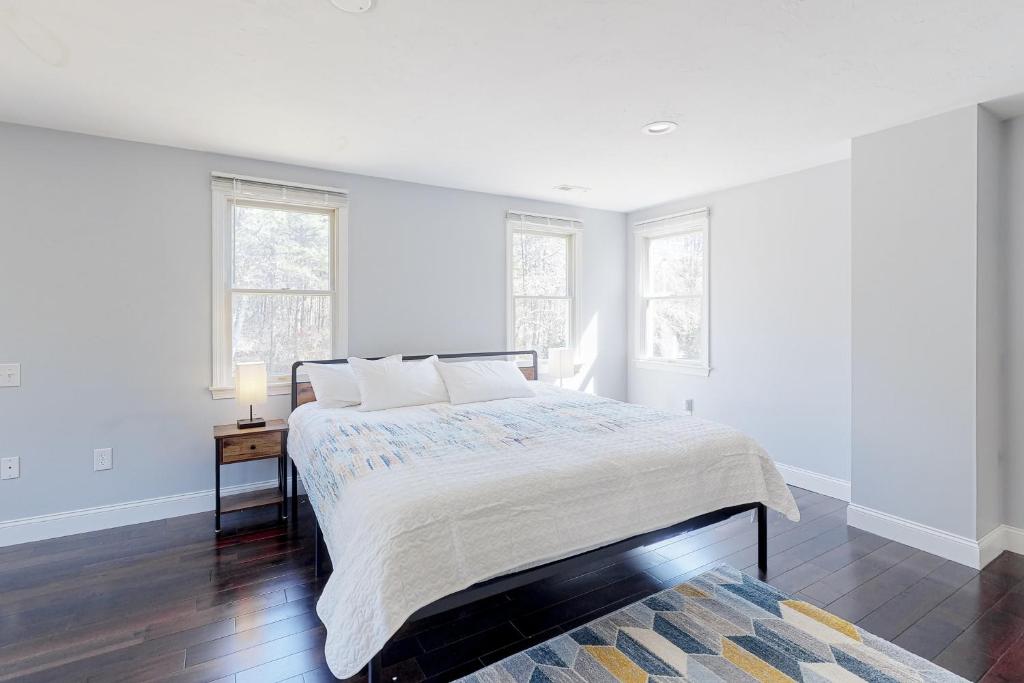 Summer on the Cape - Image 7