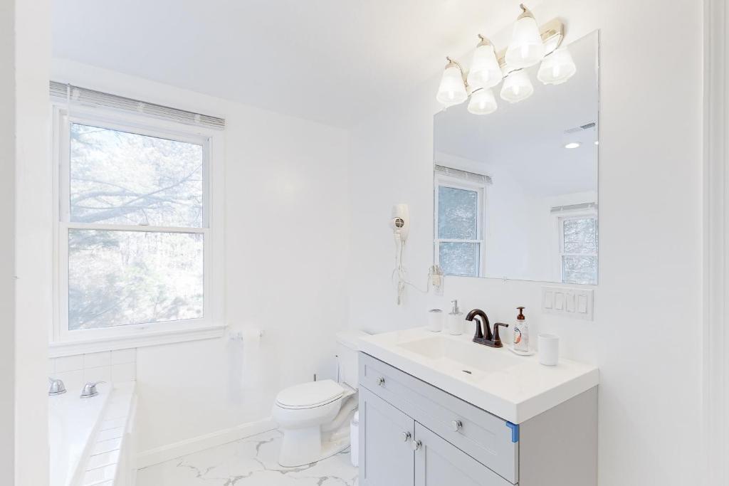 Summer on the Cape - Image 8