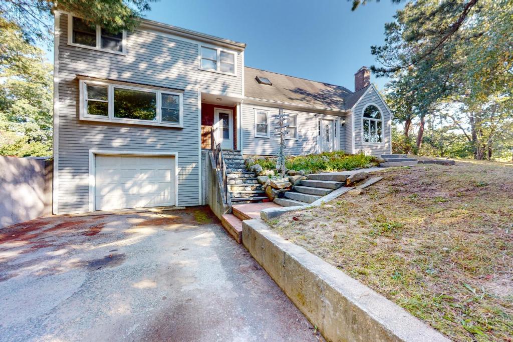 Summer on the Cape - Image 6