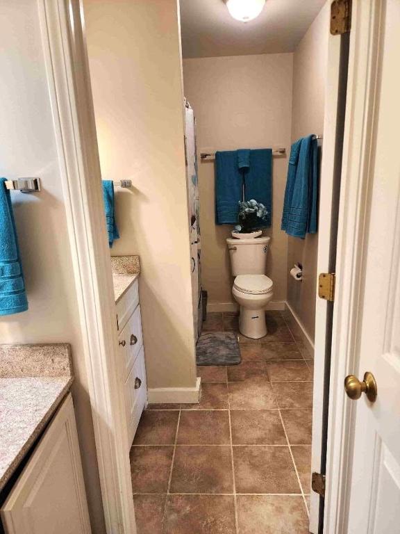 Mountain View Suite at Jiminy Peak - Ski On Off - Near Elevator Pool and Lobby - Image 8