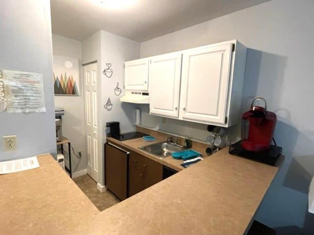 Deluxe Mountain Fox Suite Jiminy Peak - Ski On Off - Fully Redone Decor - Image 4