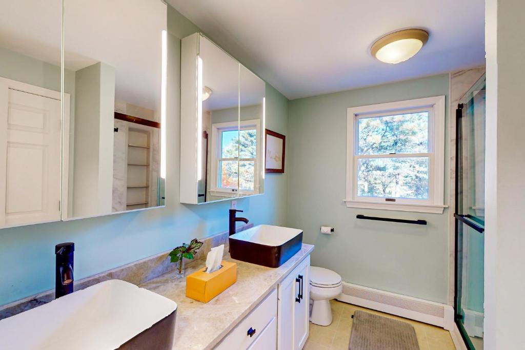 Twelve Trees - Image 8