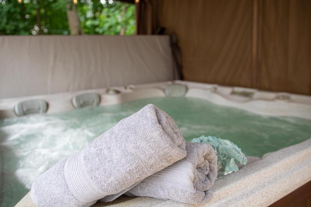 Hot Tub (Jacuzzi) - Photo 4