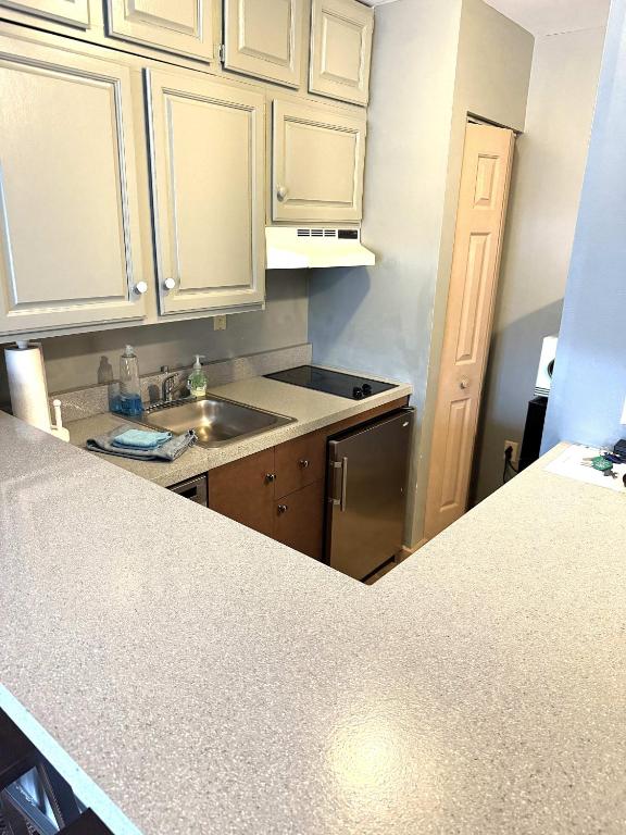 Gorgeous 1st FL Mtn View Jiminy Suite Sleeps 4 Ski On Off - Image 7