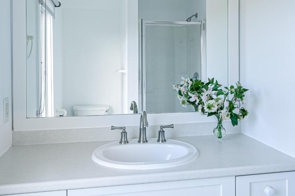 Field of Dreams - Image 8