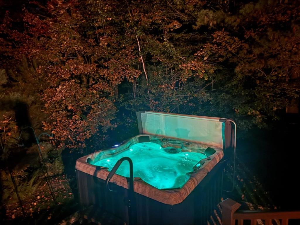 Hot Tub (Jacuzzi) - Photo 5