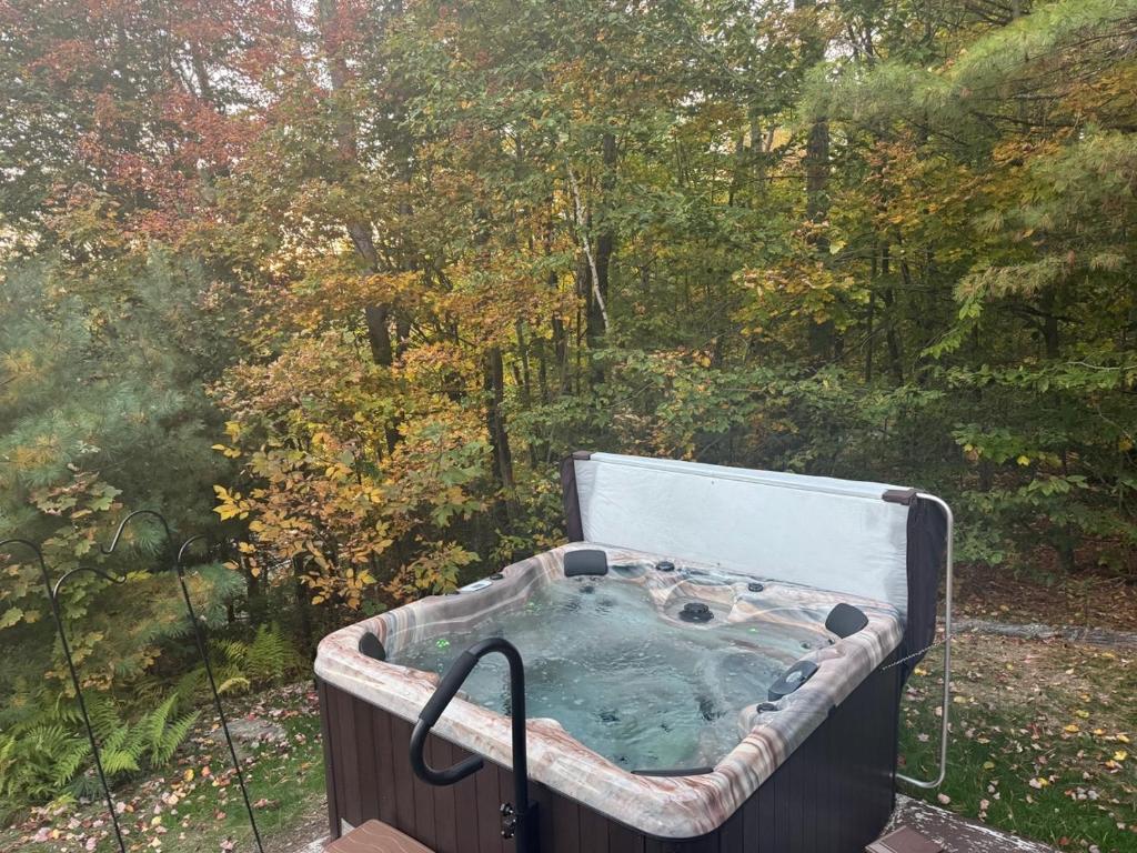 Hot Tub (Jacuzzi) - Photo 7