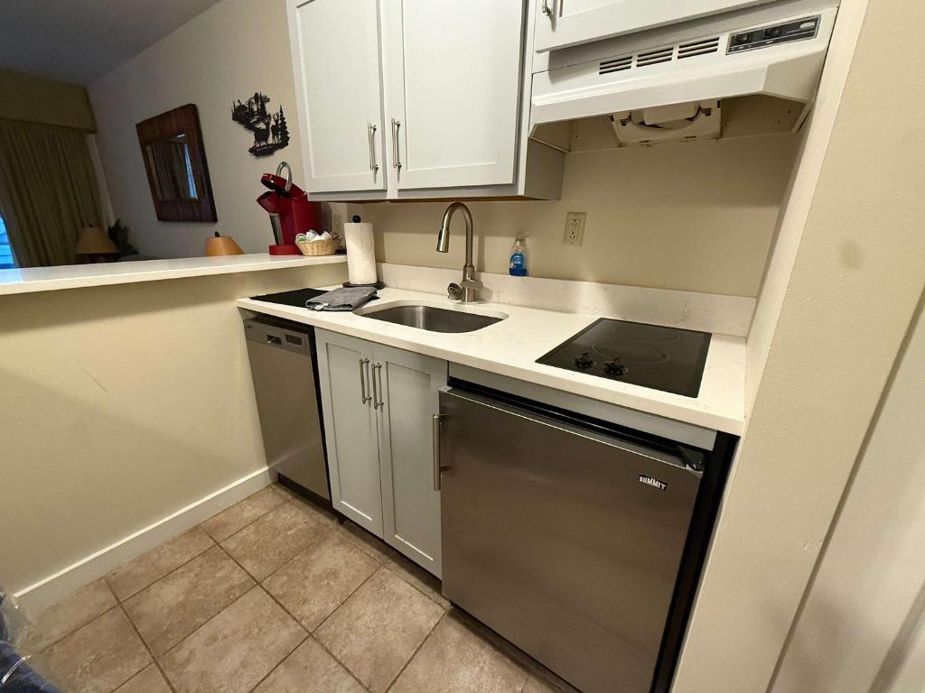 Ski On Off 1BR Suite 1st Flr Sleeps 4 Jiminy Peak - Image 8