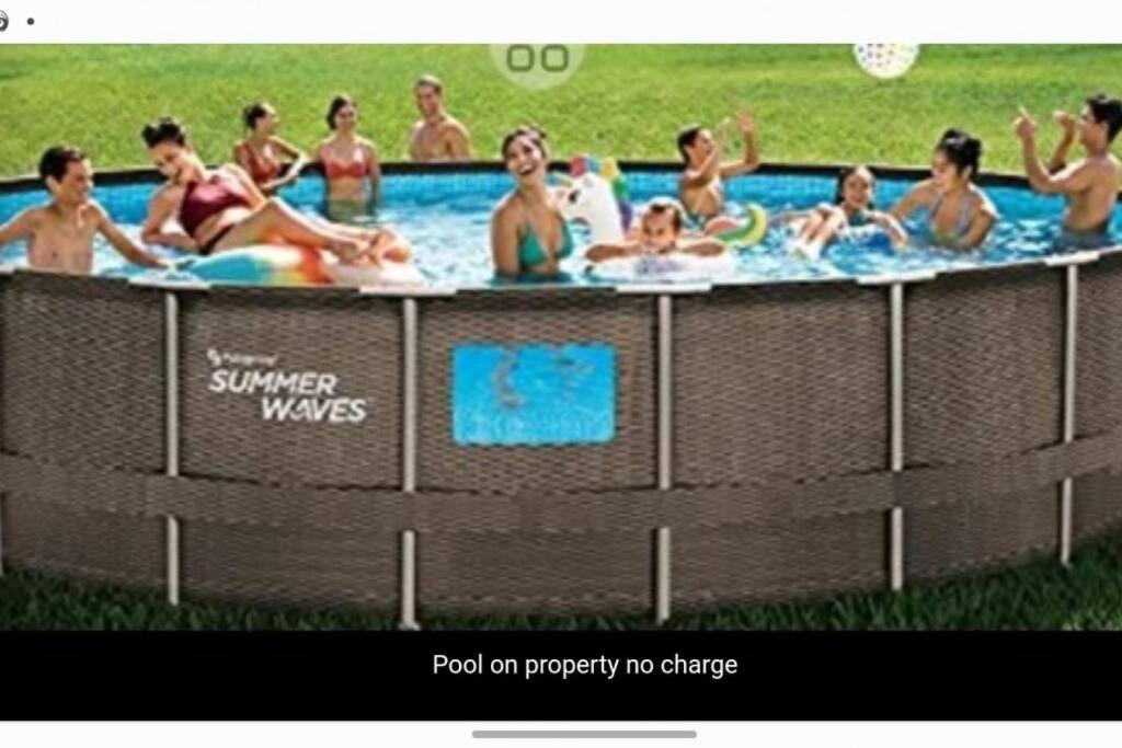 Campau Lake Sunshine cottage - Image 4