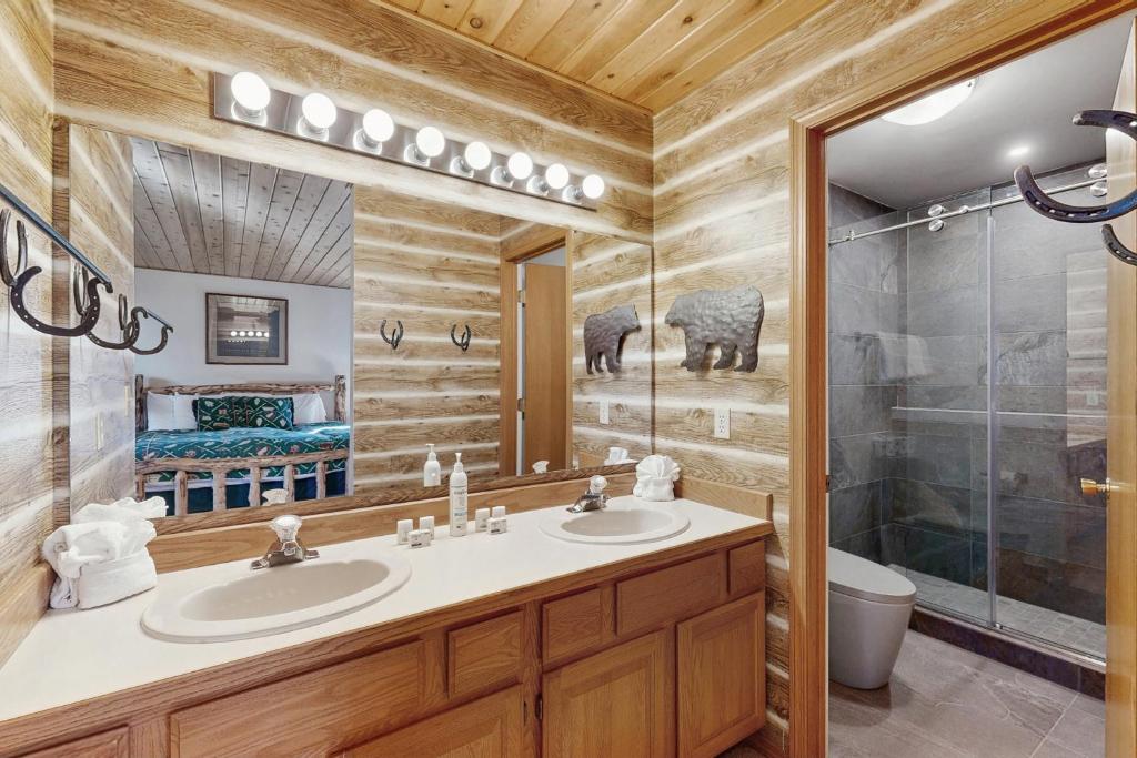 Downhill Beaverhead - Image 8