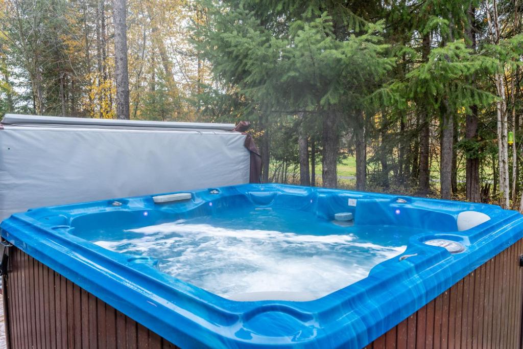 Hot Tub (Jacuzzi) - Photo 5