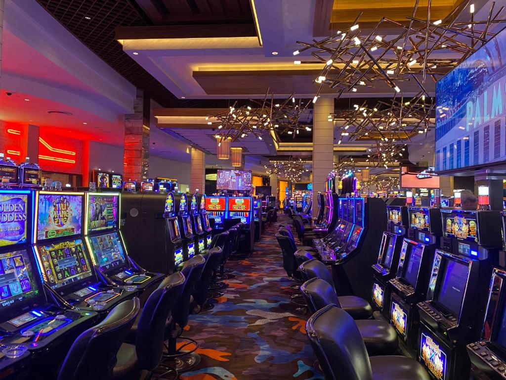 Palms Place One Bedroom Suite 1220 sqft - Image 6