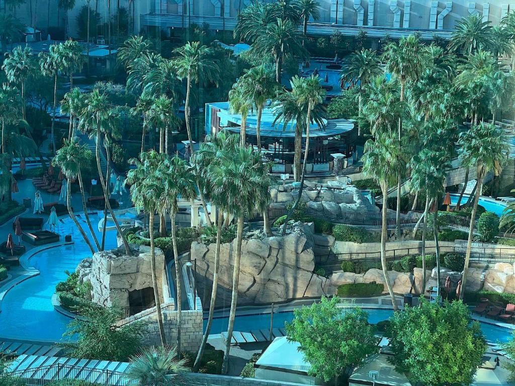 MGM Signature Tower 1 - No Resort Fee - Image 7