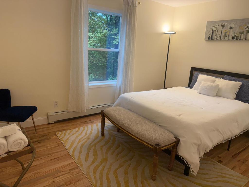 The Blue Lotus - Image 7