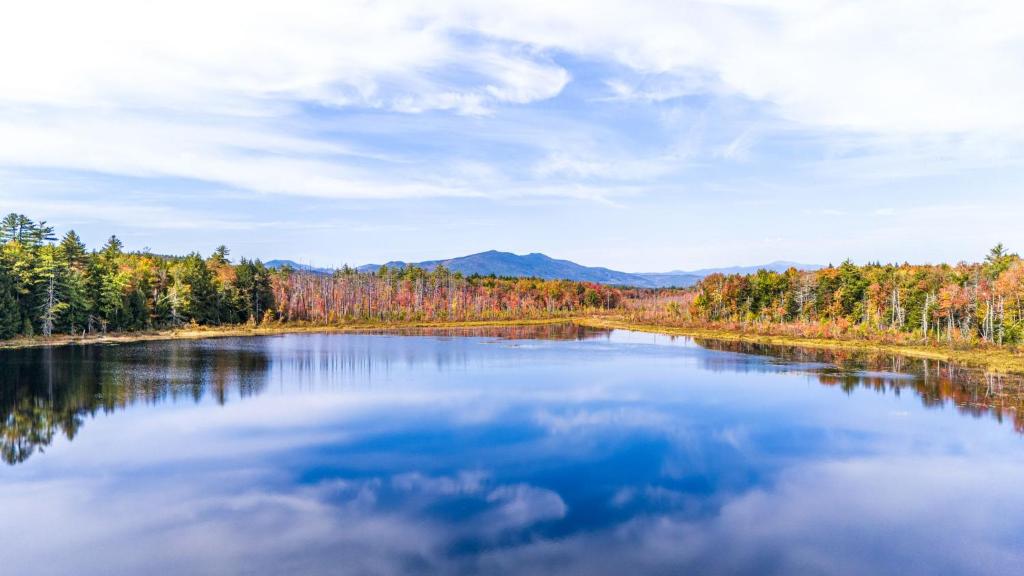 Mitten Pines Cabin Hot Tub Fire Pit - Image 7