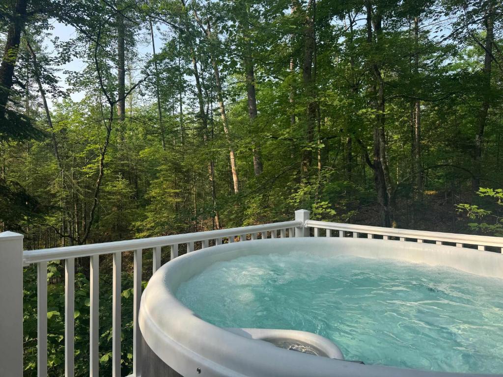 Hot Tub (Jacuzzi) - Photo 9