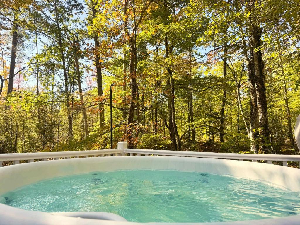 Hot Tub (Jacuzzi) - Photo 11