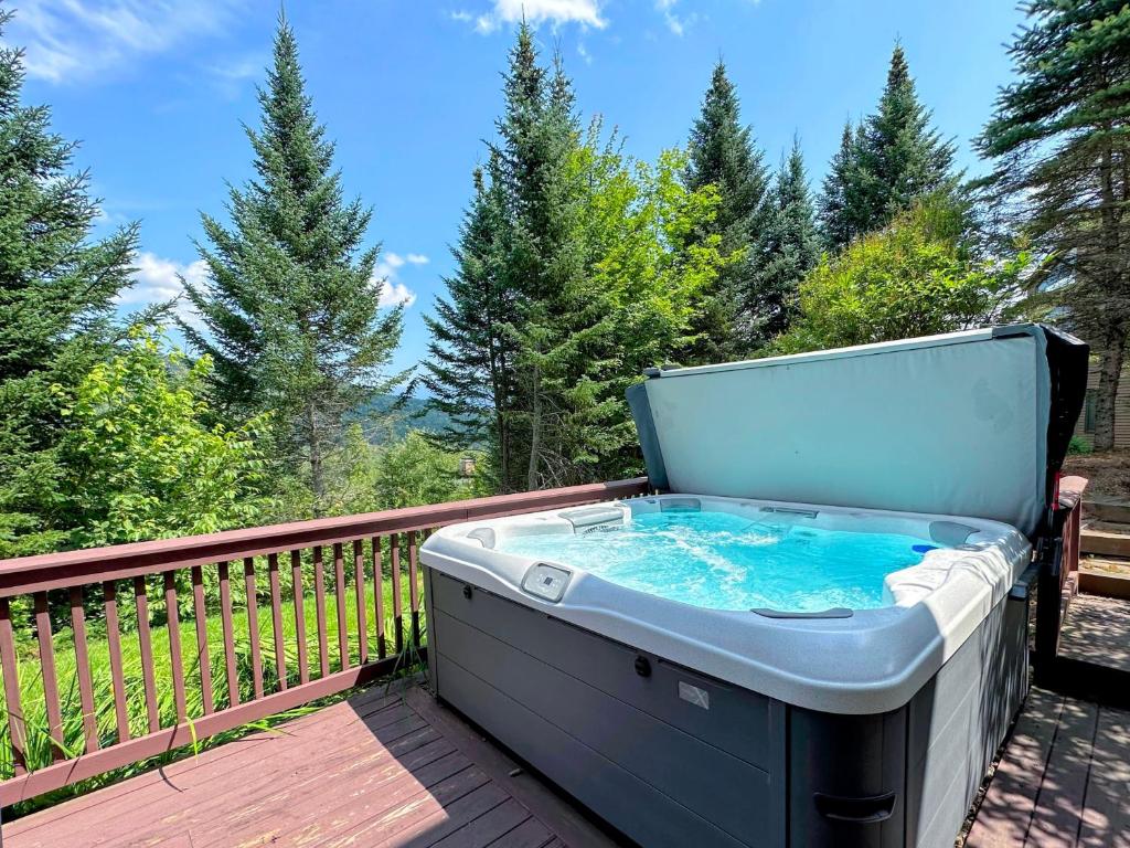 CR16 Ski-in/Out luxury home mountain views Bretton Woods