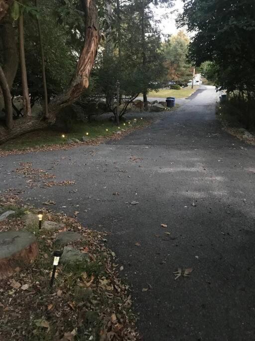 3 Acre Lake Paradise Swimming Pool & Jacuzzi HotTub! - Image 6