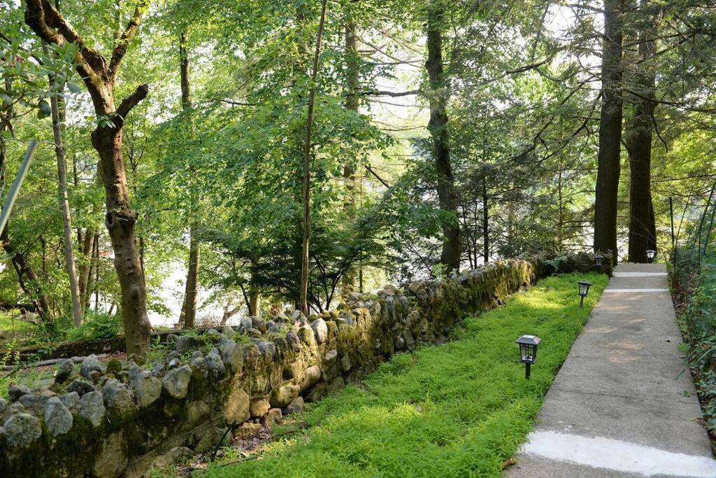 3 Acre Lake Paradise Swimming Pool & Jacuzzi HotTub! - Image 8