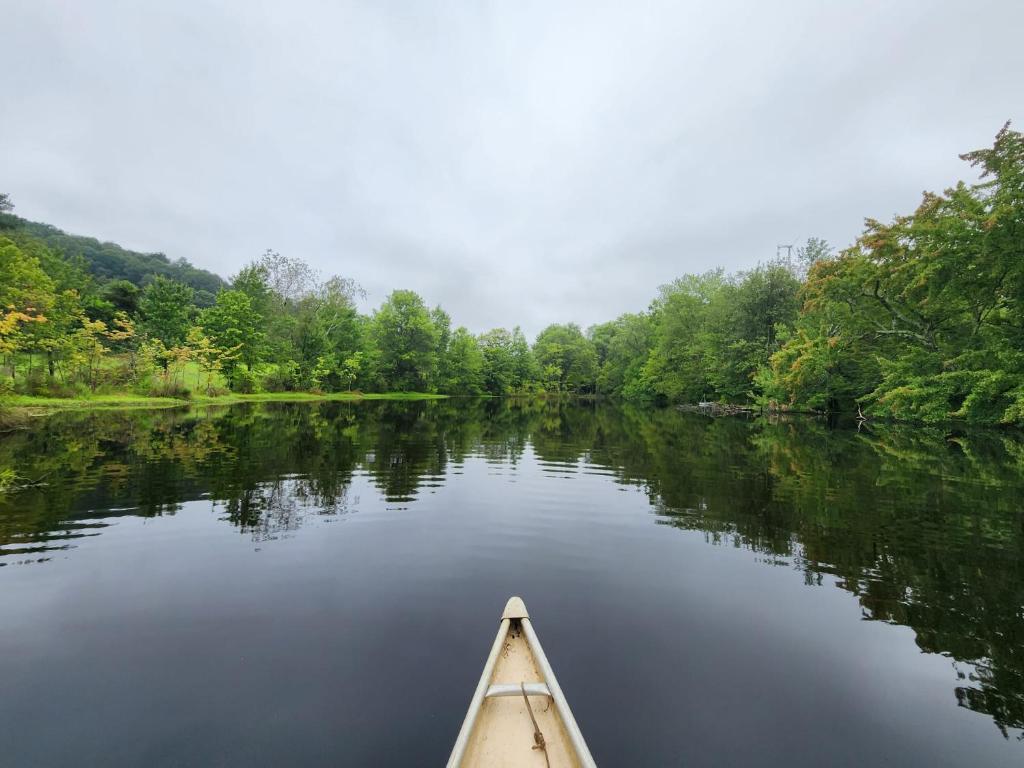 13-Acre Private Estate, Private Lake, Private Golf Range, Private Forest & Hiking Trails - Image 6