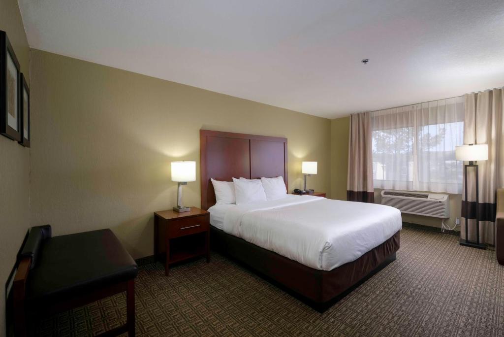 Comfort Inn Near Gila National Forest - Image 8