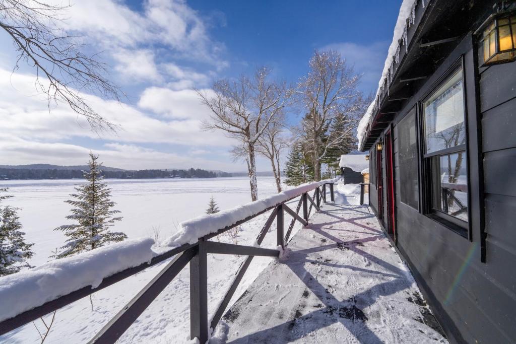 Great Pines - Image 6