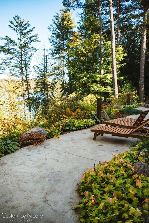 The Fern Lodge - Image 5