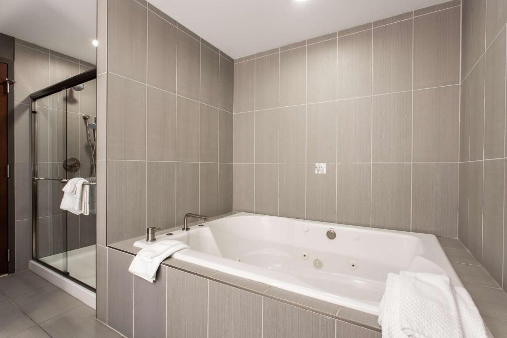 The Mosey Buffalo Williamsville Tapestry Collection Hilton