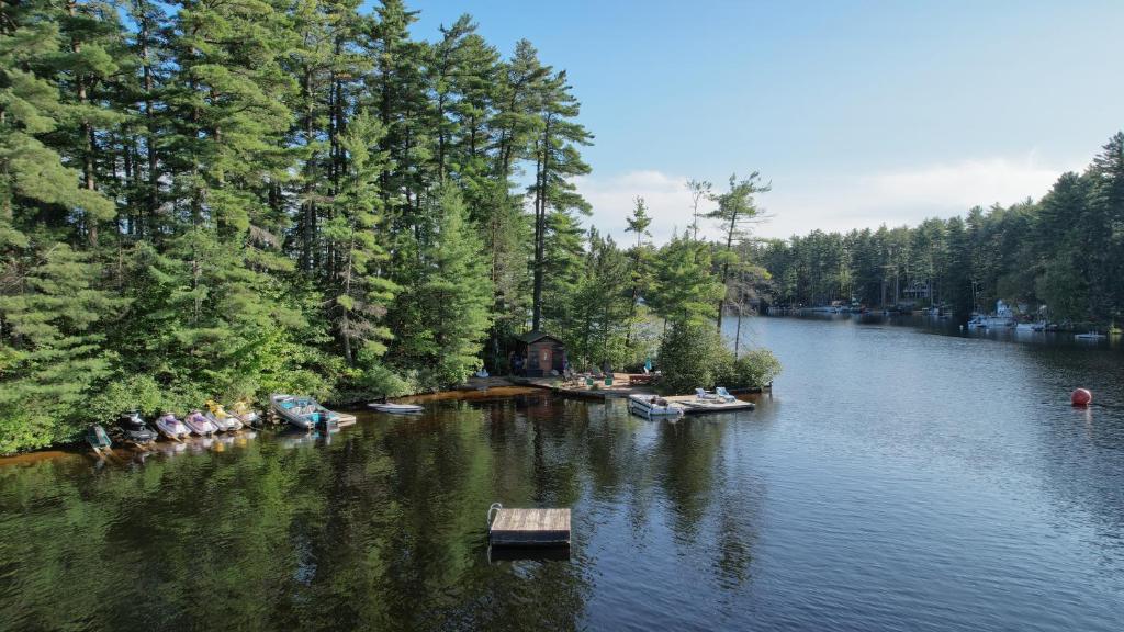 The Stabbin Cabin on Grant Island, Brantingham Lake - HotTub, Boat, Pet Friendly - Image 5
