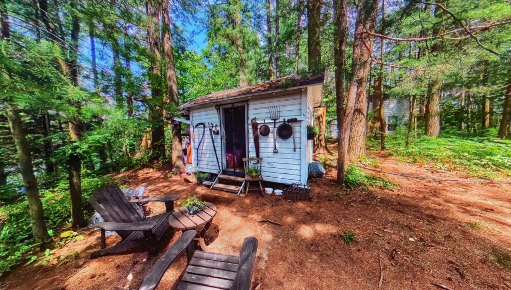 The Stabbin Cabin on Grant Island, Brantingham Lake - HotTub, Boat, Pet Friendly