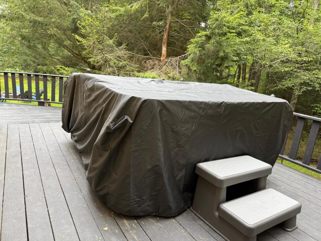 Hot Tub (Jacuzzi) - Photo 3