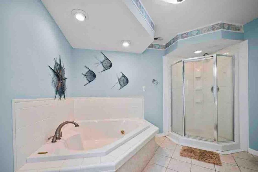 Beautiful beach and bayfront house