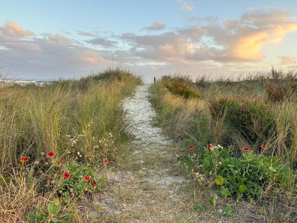 Beautiful beach and bayfront house - Image 4