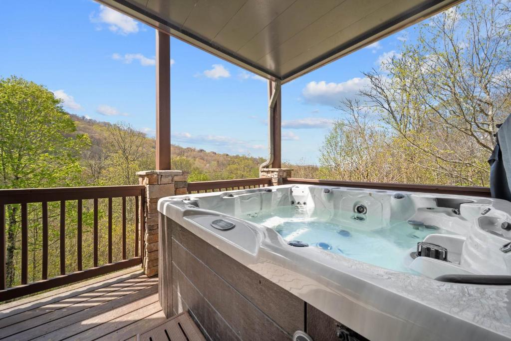 Birds Nest on Sugar Mountain