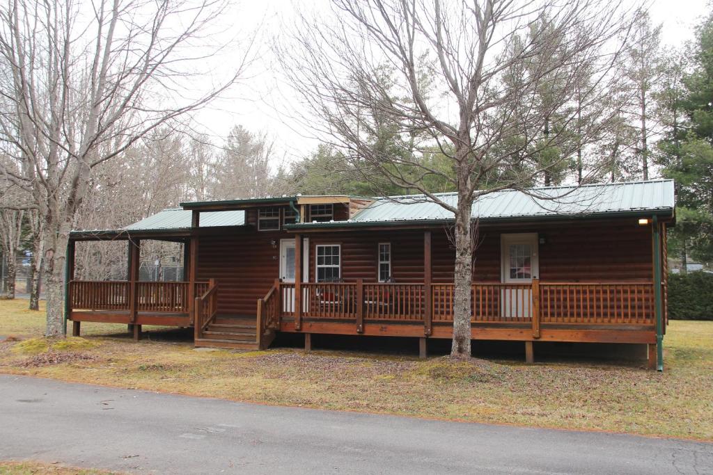 The Pineola - Image 5