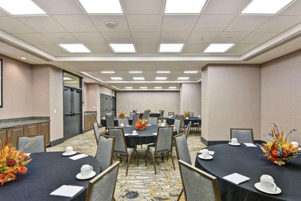 The Cincinnatian Curio Collection by Hilton - Image 6