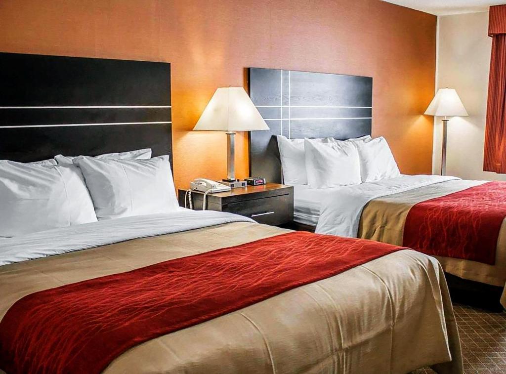 Hotel room interior