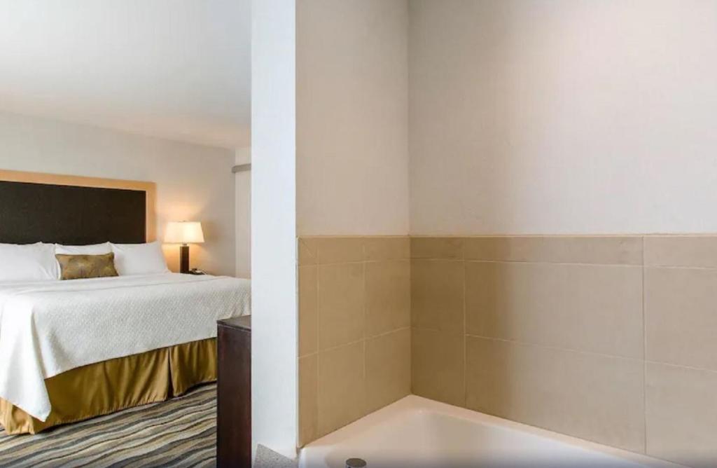 Bathtub - Photo 1