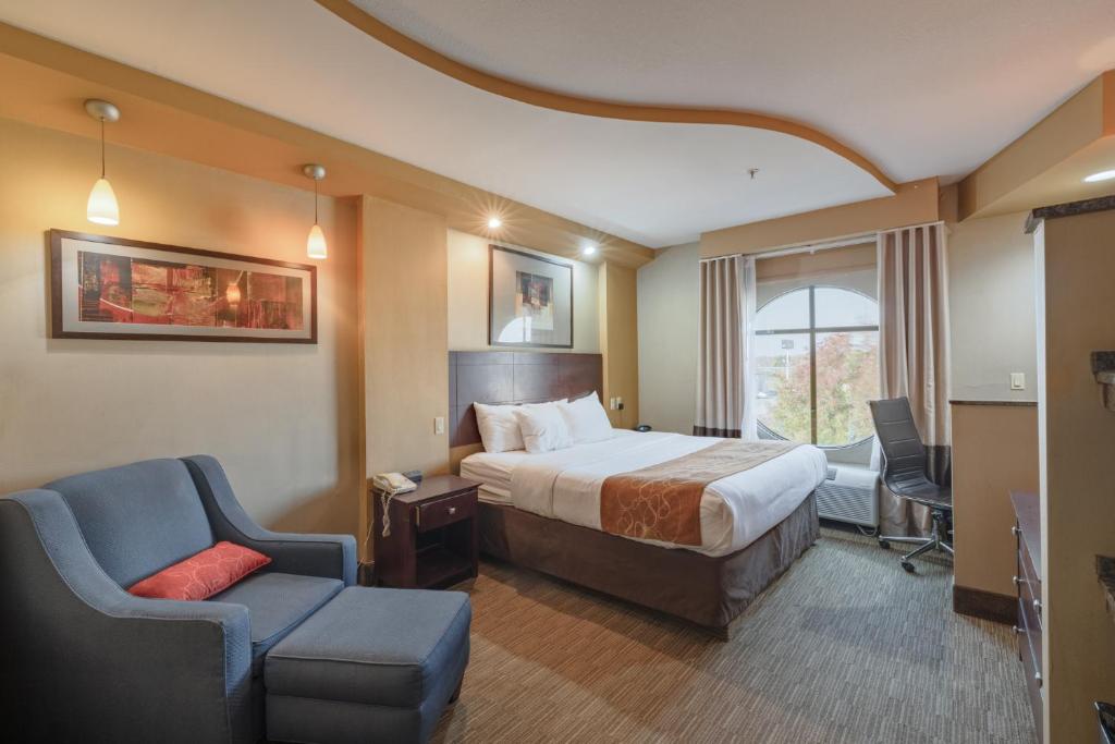 Hotel room interior