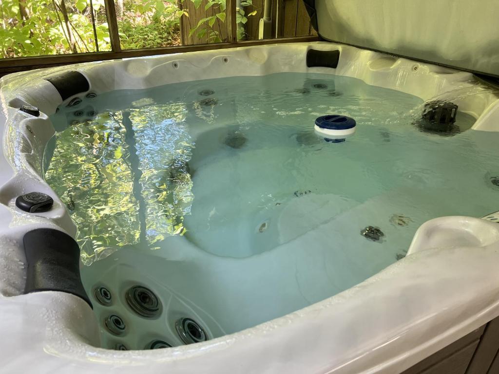 Hot Tub (Jacuzzi) - Photo 3