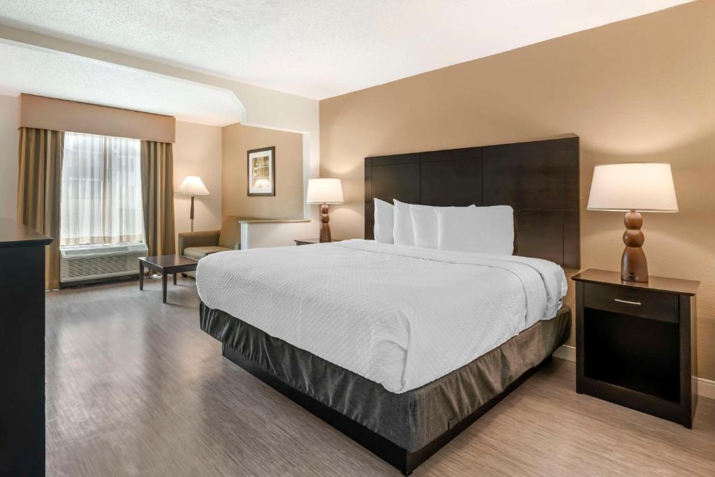 Hotel room interior