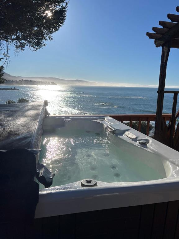 Hot Tub (Jacuzzi) - Photo 8