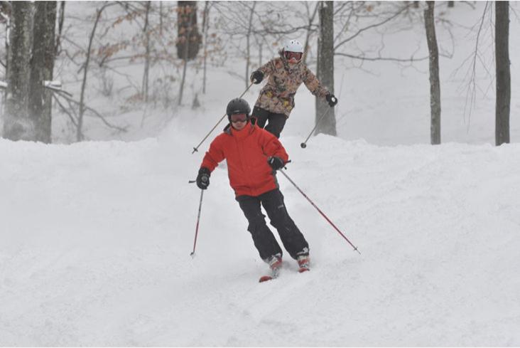 Family Pocono Gem by the lake with private sauna, hot tub, and huge game room - Image 8