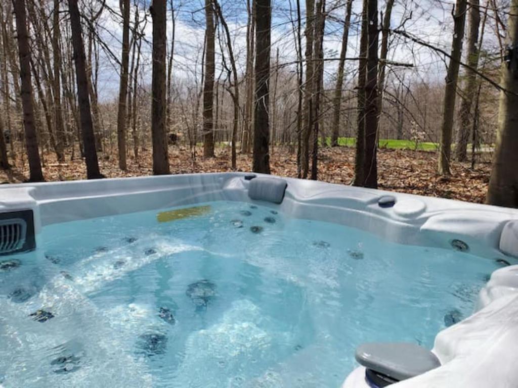 Hot Tub (Jacuzzi) - Photo 4