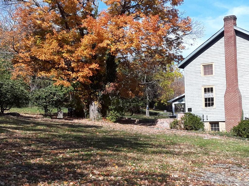 Baneberry Meadows B&B - Image 7