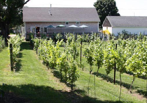 The Langworthy Inn & Winery - Image 4