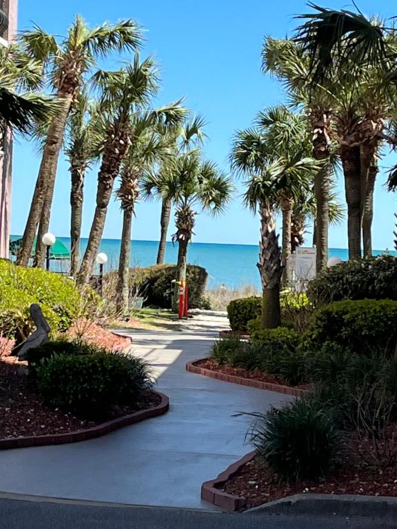 Ocean Dream Vacation - Image 7